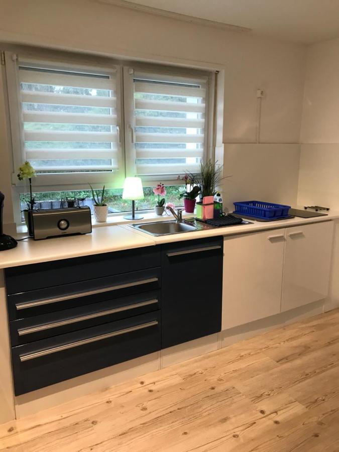 Sulzberg Apartman Lahr/Schwarzwald Kültér fotó